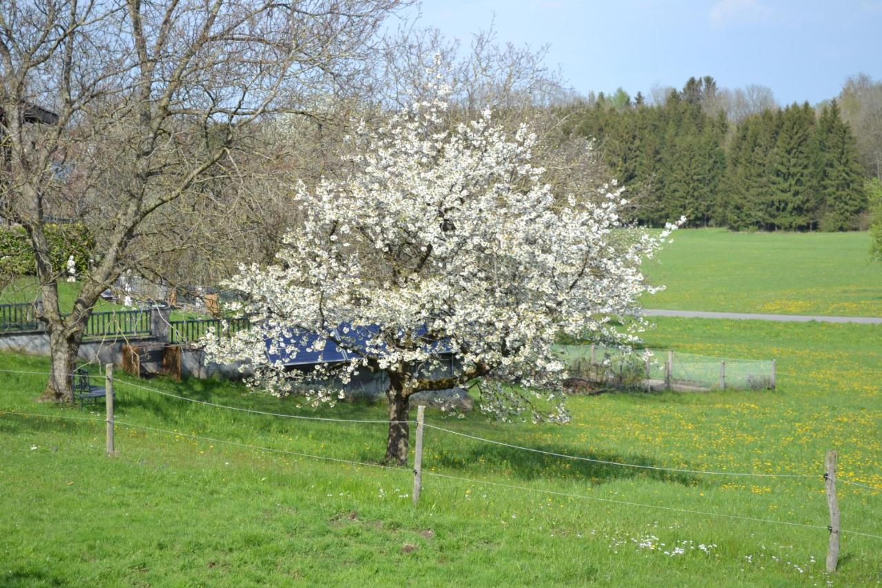 Biohof Auinger, Der Tiererlebnishof Aurach am Hongar Exterior foto