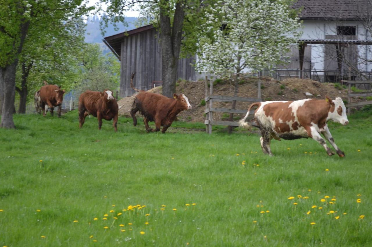 Biohof Auinger, Der Tiererlebnishof Aurach am Hongar Exterior foto