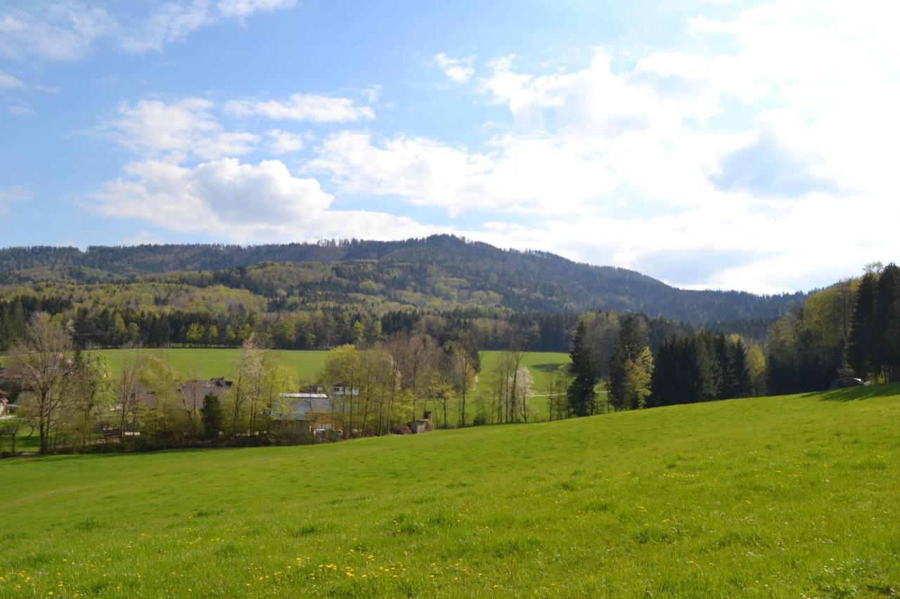 Biohof Auinger, Der Tiererlebnishof Aurach am Hongar Exterior foto