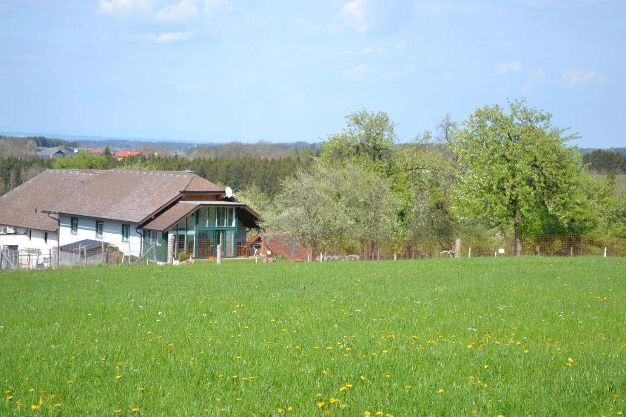 Biohof Auinger, Der Tiererlebnishof Aurach am Hongar Exterior foto